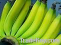 https://www.tradekey.com/product_view/Banana-3395365.html