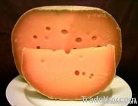 edam cheese