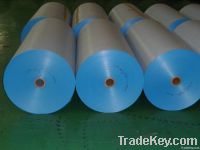 PE Woven Laminated fabric