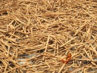 VIETNAM CASSIA / CINNAMON (skype: visimex08)