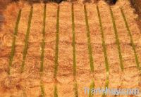 Coconut Fiber