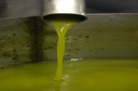 Sunflower Oil | Canola Oil | Rapeseed Oil | Soybean Oil