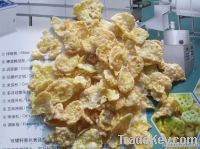 Automatic Corn Flakes Machine/Equipment/Extruder