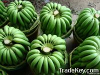 Fresh Cavendish Banana