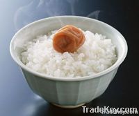 Japonica round rice