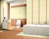 Bathroom ceramic tile (FA1011)