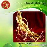 https://www.tradekey.com/product_view/American-Ginseng-Extract-plant-Extract-Herbal-Extract--3494212.html