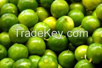 South African Limes
