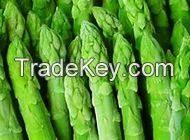 https://www.tradekey.com/product_view/Green-Asparagus-7561923.html
