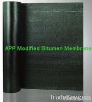SBS/APP modified bitumen membrane