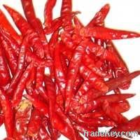 Red chilli whole