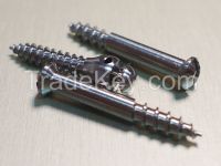 dental microimplant (micro screw)