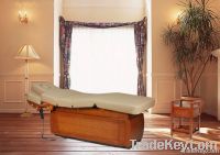 Electric Facial Bed (08D04-2)