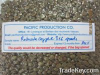 Sell Robusta coffee grade A, s16, s18 roasted and green from Vietnam