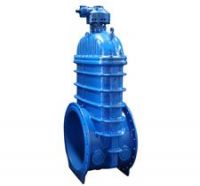 Gate  Valve