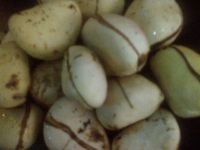 GORIYA KOLA NUT