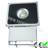 100W  floodlight