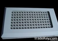 https://www.tradekey.com/product_view/120w-Led-Growlight-3372972.html