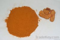 turmeric