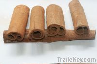 Cinnamon tube