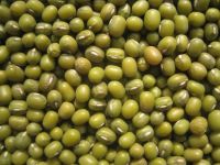 2017 New Crop High Quality Green Mung Beans