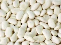 wholesale price of white kidney beans