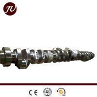 OEM Technical Top Quality Diesel Engine Crankshaft