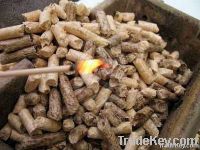 Wood pellet.