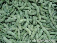 Chinese frozen soy bean kernel