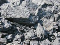 Gas coal