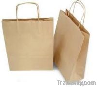 Paper shopping/Promotional Bag