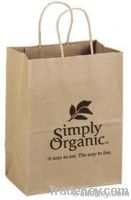 Paper shopping/Promotional Bag