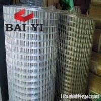 Hot Dipped Galvanized Welded Wire Mesh