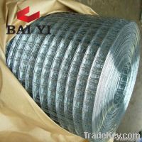Stainless Steel Welded Wire Mesh