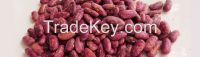 Speckled Kidney Beans Pinto Beans Broad Bean Red Kidney Beans White Be