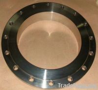 Plate Forging Flange (DIN)