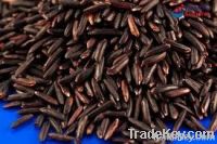 Vietnamese Long Grain Black Rice, 5% Broken