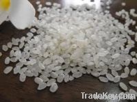 Rice | Rice Exporter | Rice Distributor | Rice Wholesaler | Rice Supplier | Rice Importer | Basmati Rice | Rice For Sale | Long Grain Rice Exporter | Buy Rice Online | Rice For Sale | Basmati Rice Exporter | Basmati Rice Wholesaler | Long Grain Rice buyer