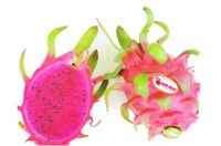 RED DRAGON FRUIT