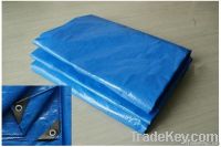 pe tarpaulin manufacturer in China