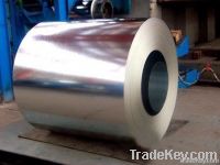 Cold Rolled Steel Coils
