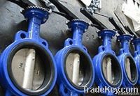 Butterfly Valve with CE Certificate (DN50-1200)