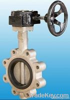 Lt-Type Worm-Wide Stainless Steel Pin Butterfly Valve