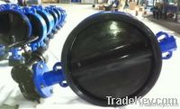 Butterfly Valve with Rubber Lined
