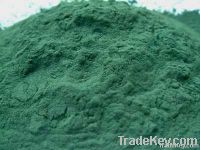 Spirulina powder capsules tablets in from Chennai India