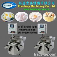 DL-3020 Egg Grading Machine