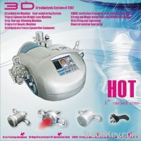 3D cryolipolysis vacuum  slimming machine /fat feezing liposuction
