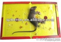 Rats Glue Trap Machine