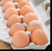 Farm Fresh Chicken Table eggs, Brown Shell chicken eggs, White shell chicken eggs