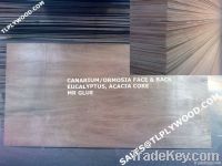 Plywood for furniture